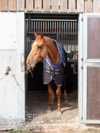 BP200326-73 - It's Hard To Know